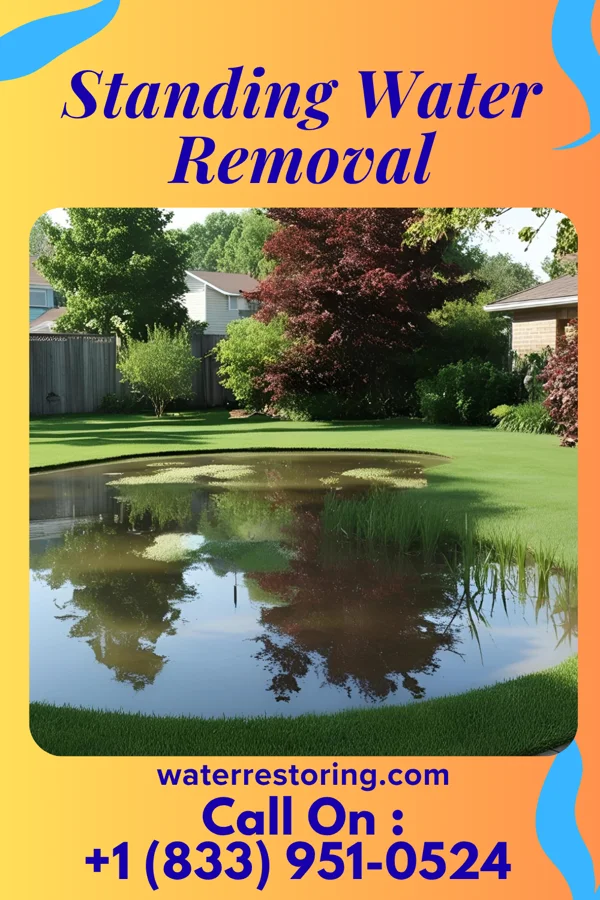 Standing Water Removal in Fox River Grove, IL